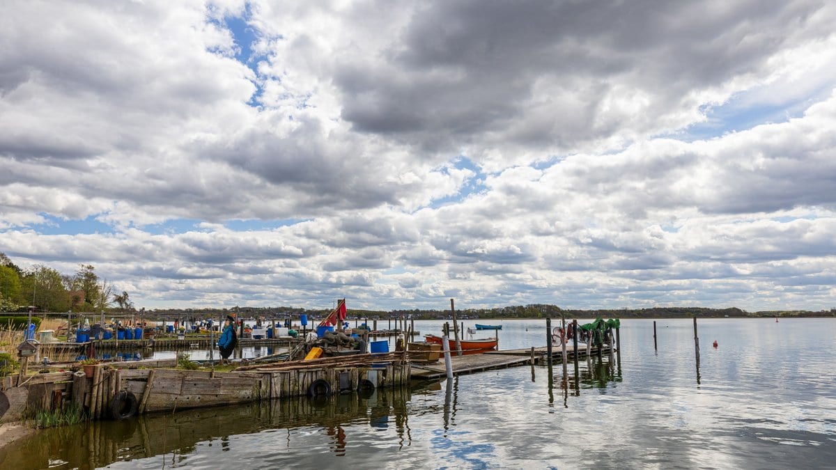 Small-boat jetties and moored dinghies in the shallow water of the Schlei inlet, under a sky of broken cloud.