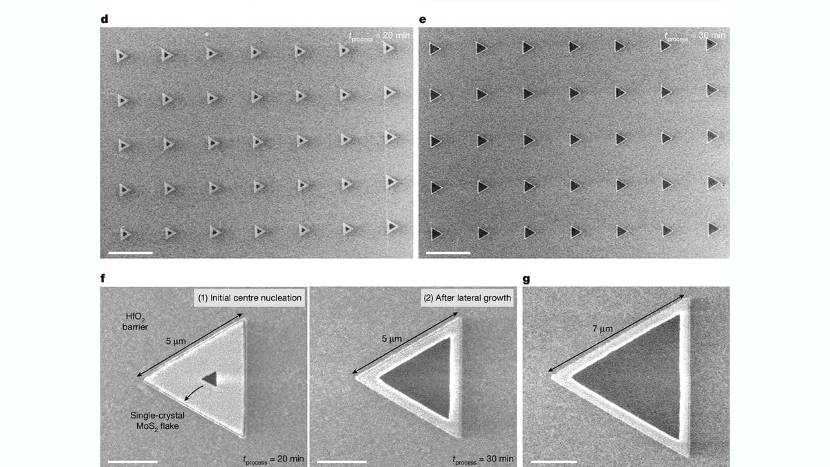 Scanning electron micrographs: a grid of patterned growth sites, each holding one triangular crystal of molybdenum disulfide at its center, with micrometer scale bars and a labeled hafnium oxide barrier.