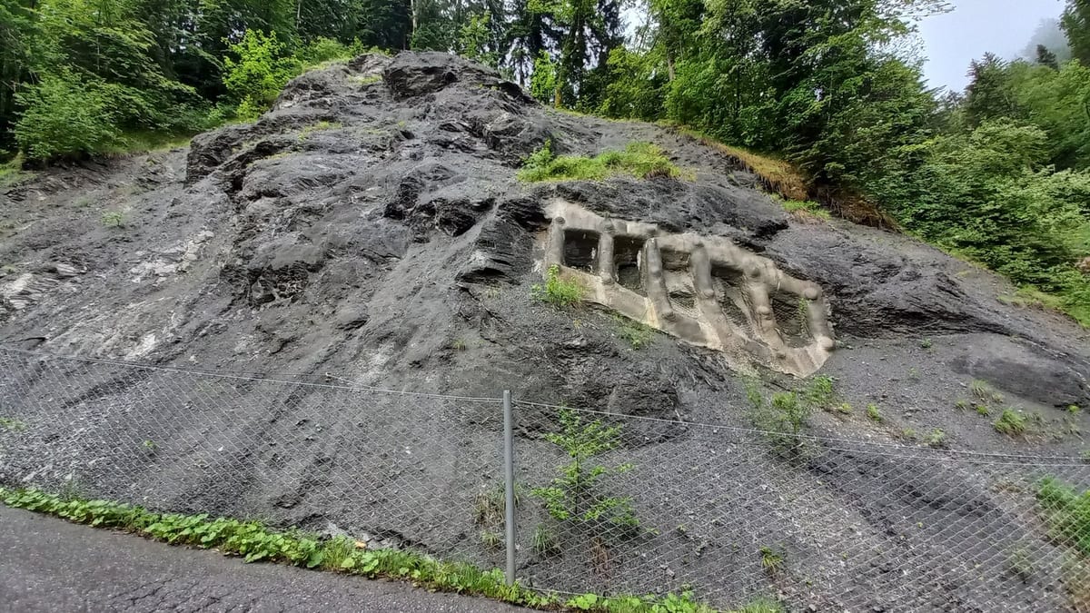 Steel mesh pinned over a dark, crumbling rock cutting above a narrow road, trees along the top of the slope