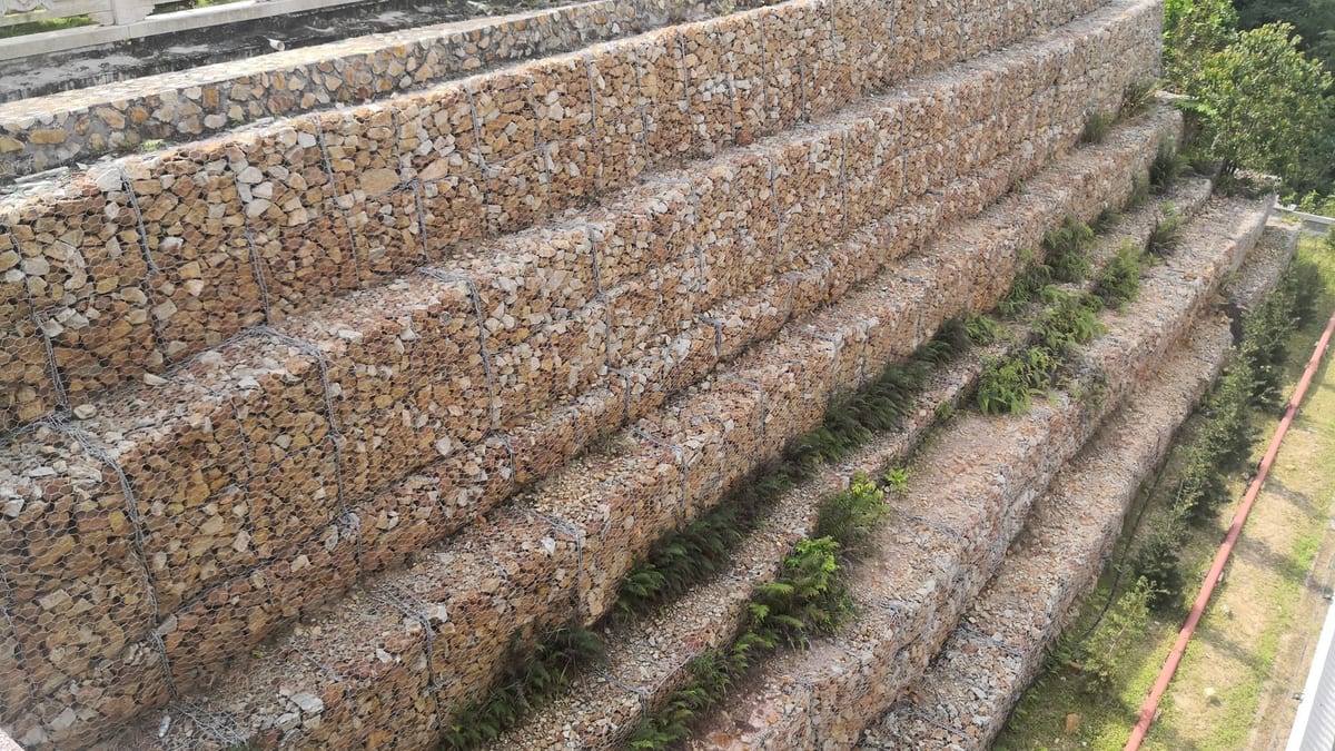 A tall stepped retaining wall of stone-filled wire baskets holding back a hillside, ferns growing along each terrace