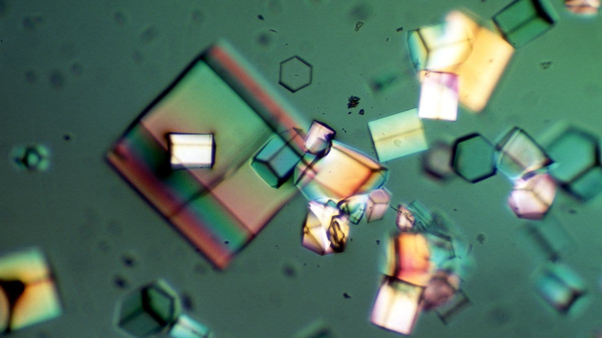 Many small protein crystals of different shapes and colors, magnified under a microscope.