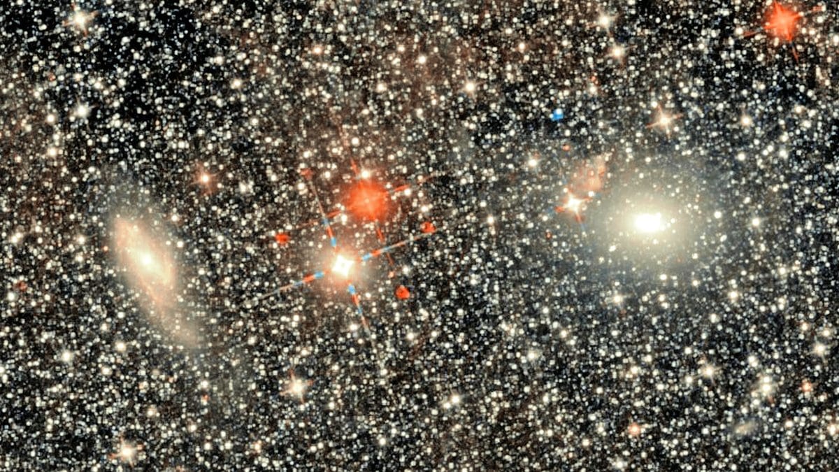 A deep optical image of the galaxies Maffei 1 and Maffei 2, two faint hazy ovals behind a dense field of Milky Way stars.