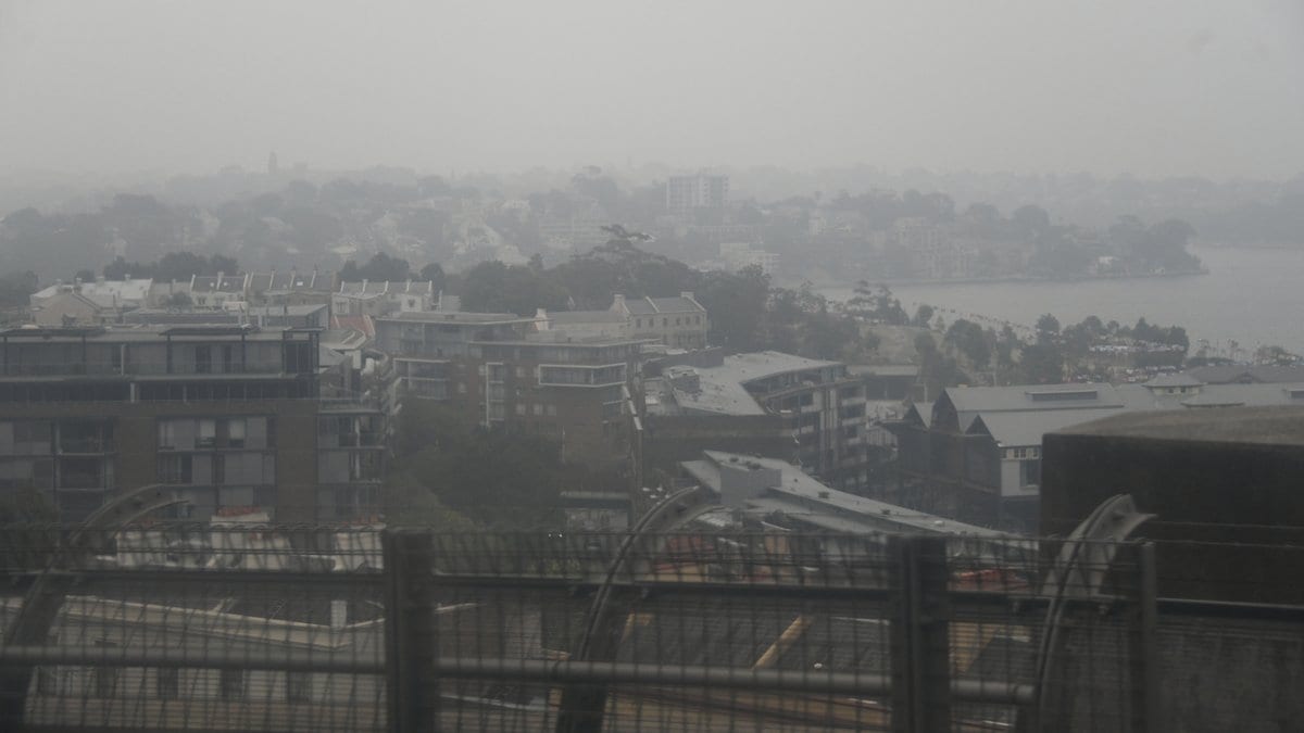 A wide view over dense inner-suburb housing and a waterway in Sydney, Australia, all of it dimmed by thick gray smoke haze.