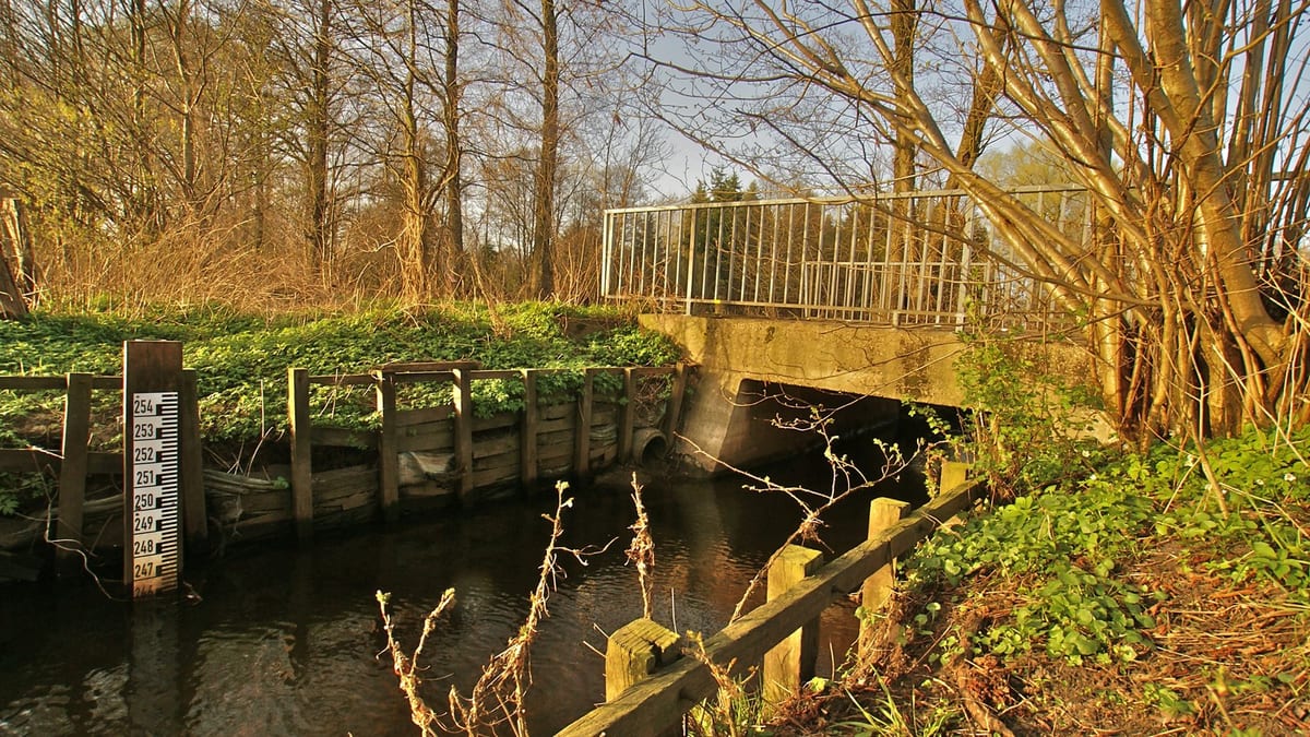 A black and white graduated gauge on a wooden post at the edge of a small dark stream, a concrete footbridge with metal railings and bare trees behind in low sunlight