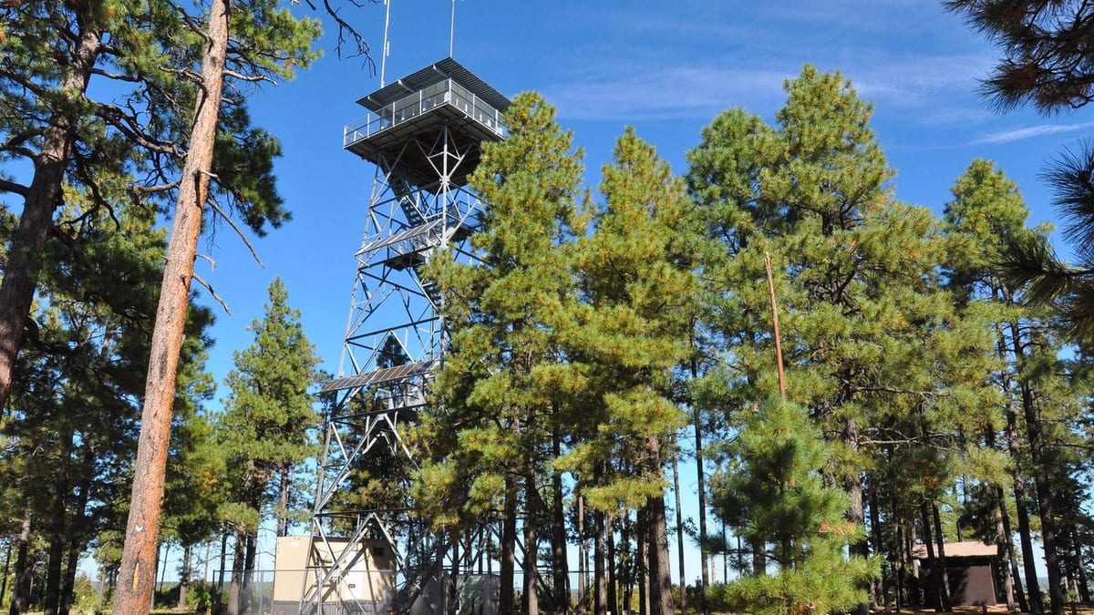 A steel fire lookout tower with a glass cab rising among tall pines under a blue sky, a small hut and a fenced compound at its base