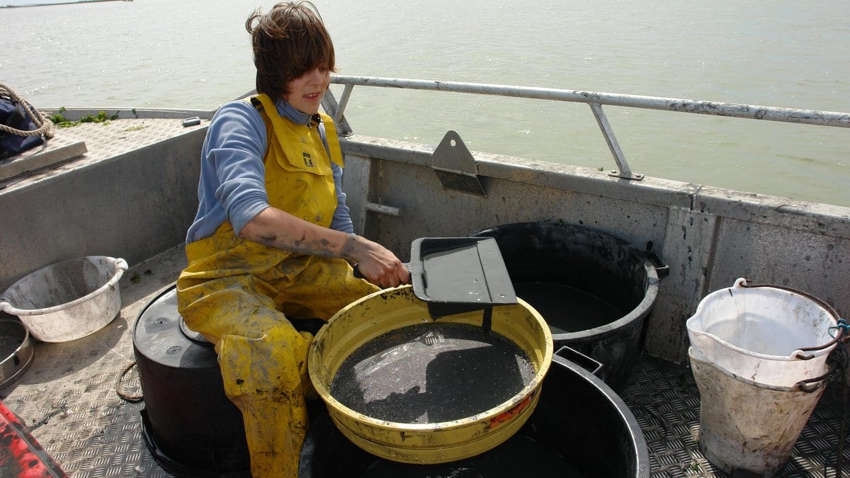 A field scientist in yellow waterproof overalls washes a sediment sample through a wide yellow sieve on the deck of a survey boat, with buckets and bins around her.