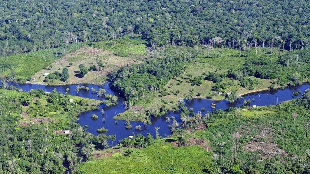 Aerial view of Amazon forest cut by a dark river, with cleared grassy patches and a few small houses along the water.