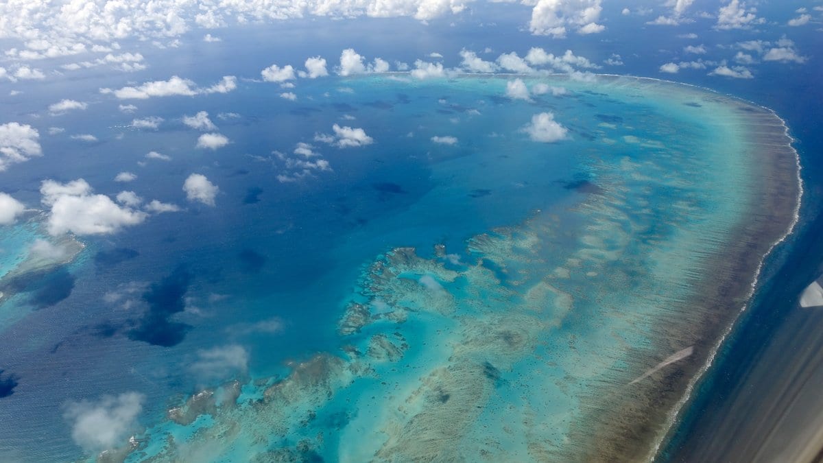 Aerial photograph of Arlington Reef on the Great Barrier Reef: a long crescent of pale turquoise shallows edged by dark blue ocean, with scattered white cumulus clouds above.