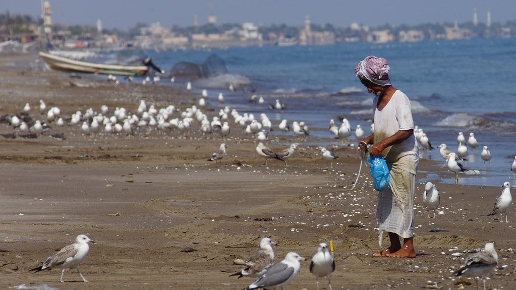 A wooden fishing boat drawn up on a sandy beach on Oman's Batinah coast, with gulls on the sand and a man standing near the waterline.