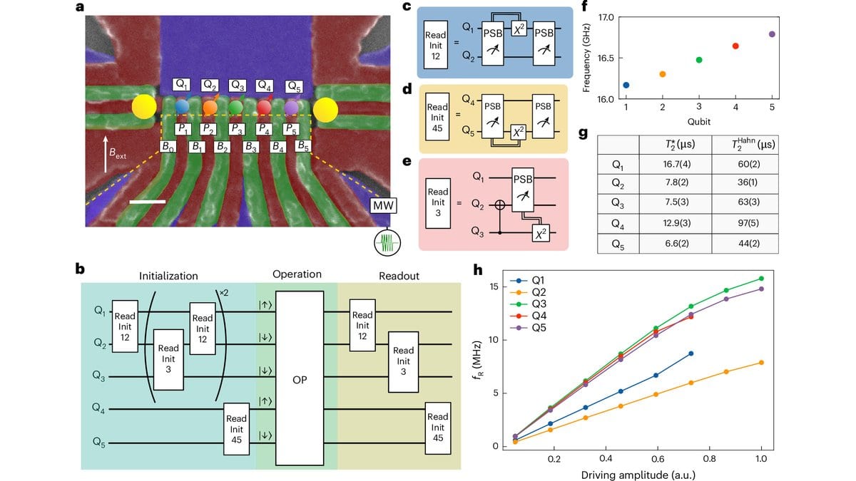 False-colored scanning electron micrograph of a five-qubit silicon quantum-dot device, five dots in a row under their control gates with a charge sensor at each end, shown beside circuit diagrams and plots of the qubit frequencies and coherence times.