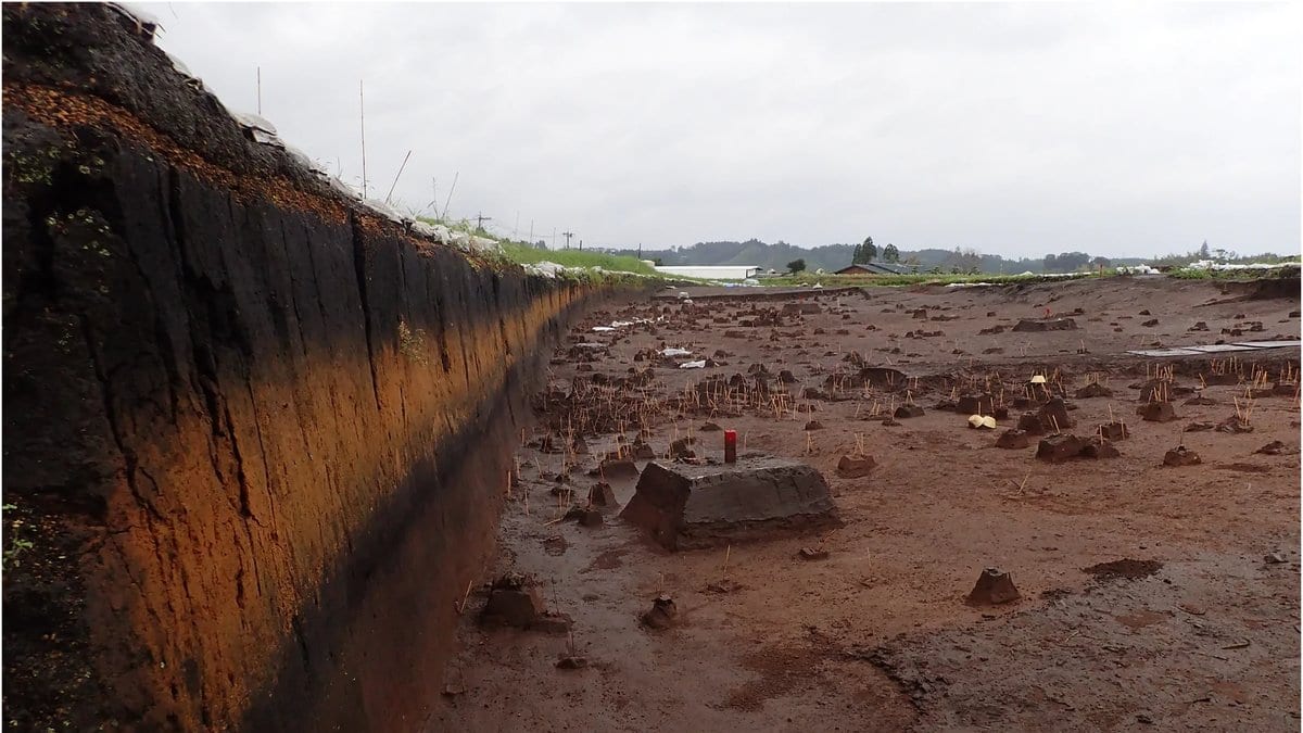 A deep excavation trench at an archaeological site, its cut wall showing a thick dark band of volcanic ash over reddish soil, with the stripped site surface beyond it.