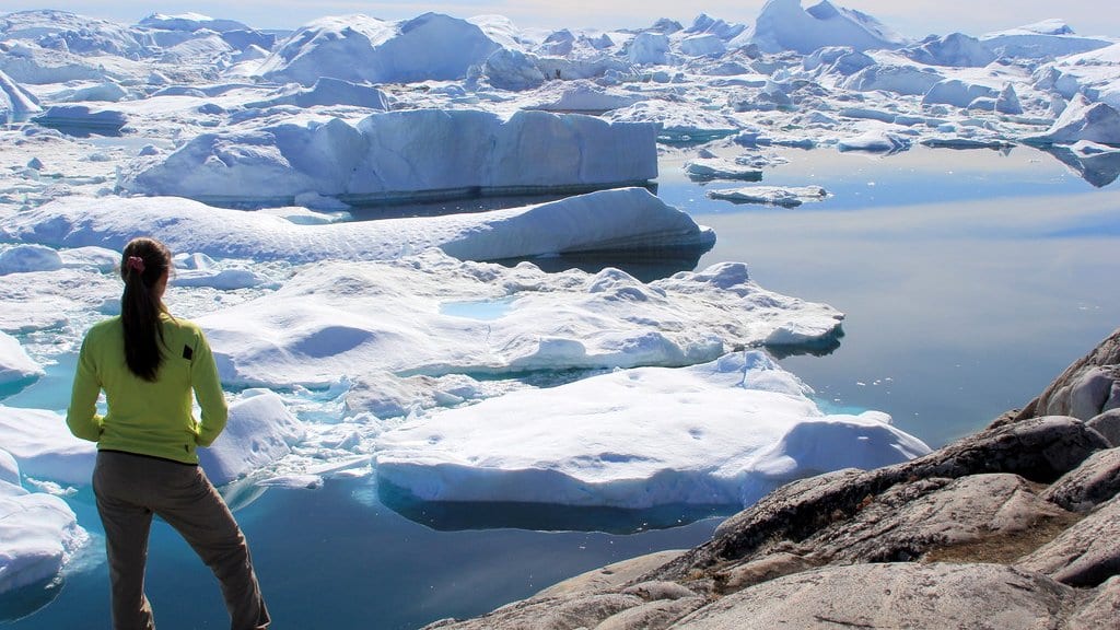 A person stands on bare rock looking out over a fjord crowded with flat-topped icebergs and brash ice under a blue sky.
