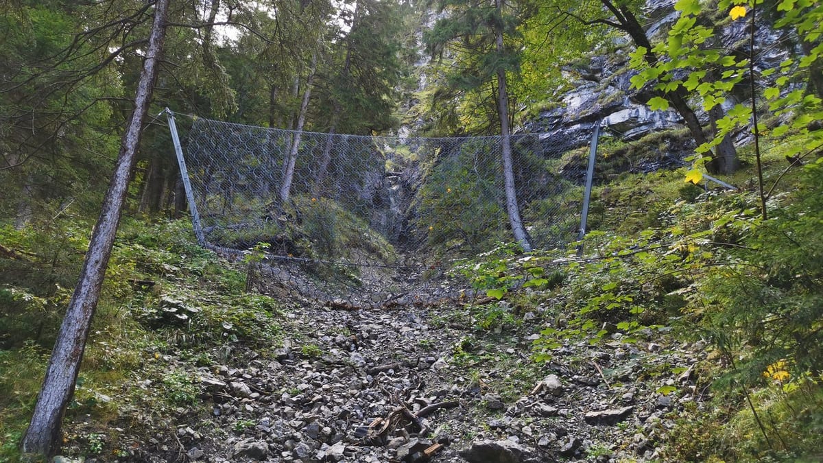 A wide steel-mesh rockfall barrier strung between posts across a steep forested gully, a scree of loose grey stones running down toward the camera