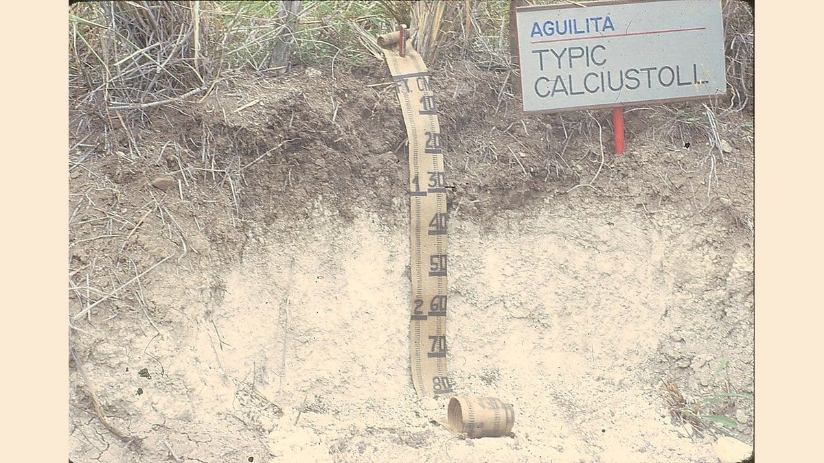 A soil pit in dry grassland, with dark brown topsoil above a thick pale layer of carbonate-rich soil, a measuring tape hanging down the pit face and a site placard at the top.