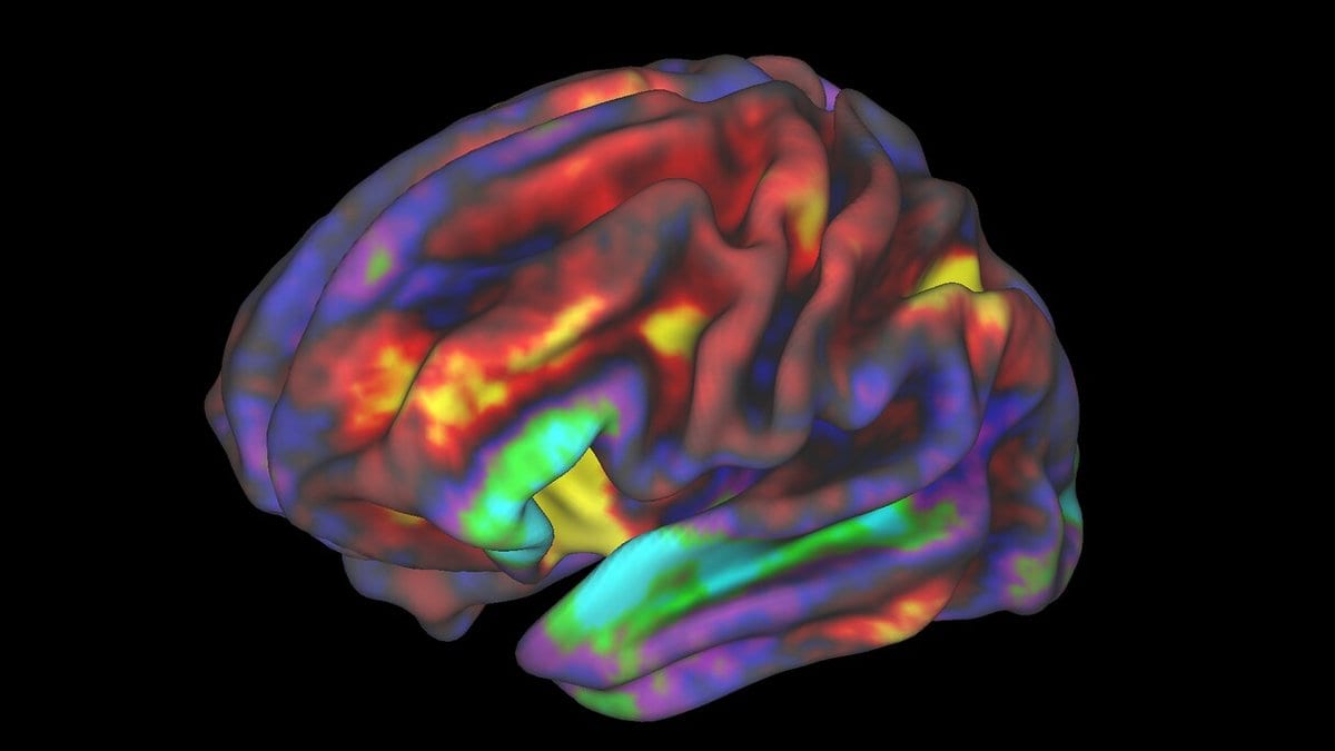 A three-dimensional rendering of the folded human cortex on a black background, washed in red, yellow, green and blue color that marks functional MRI measurements across the surface.