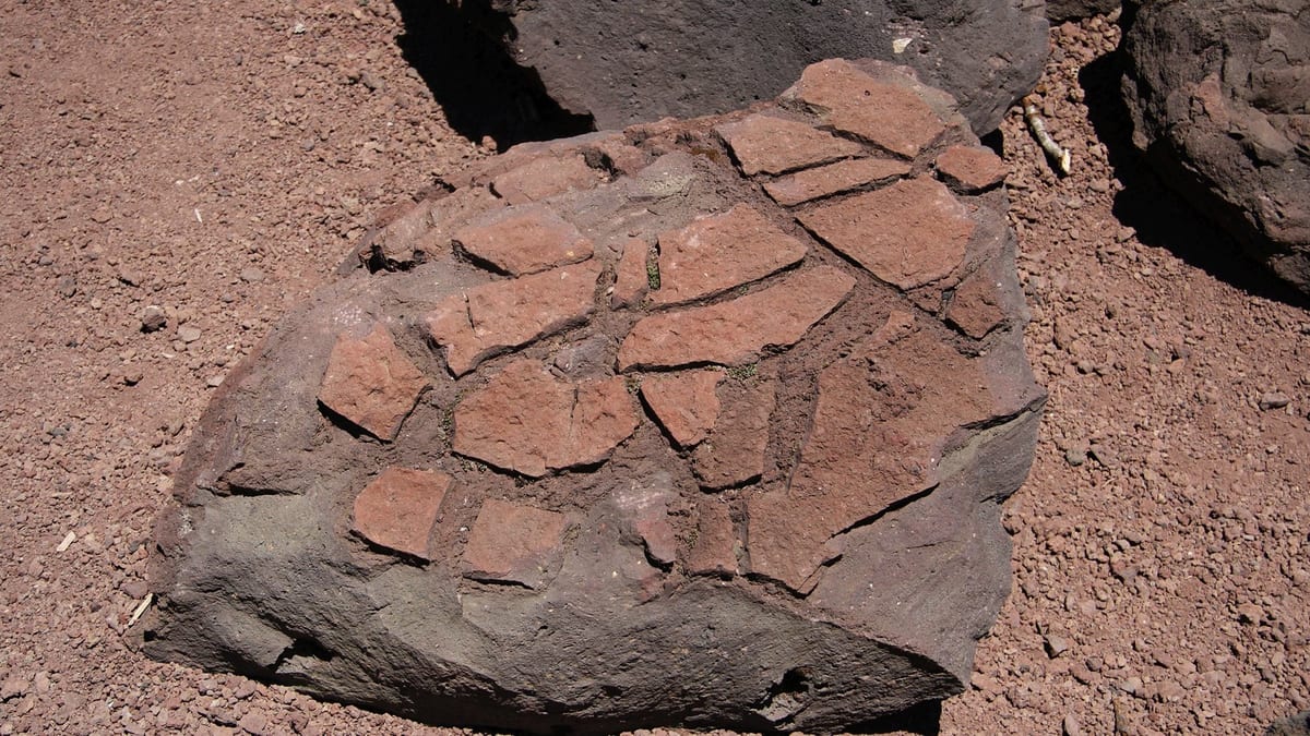 A rounded block of dark volcanic rock whose reddish crust has cracked into a pattern of plates, lying on red-brown cinders beside other dark boulders