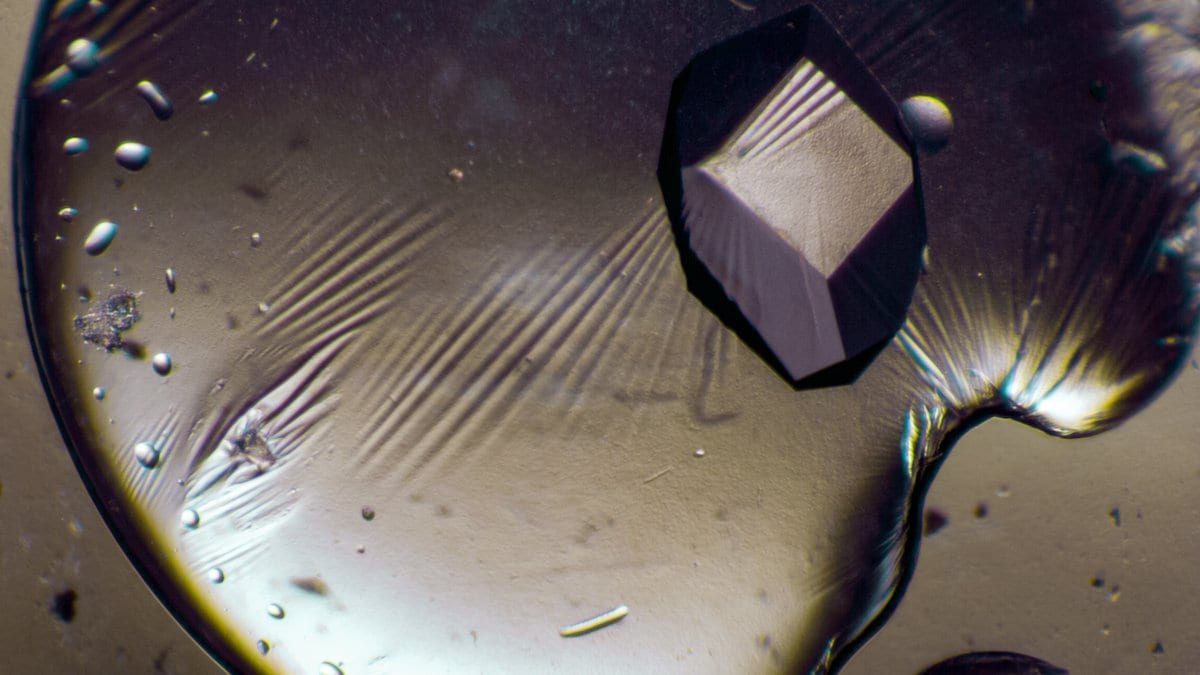 A single faceted protein crystal suspended in a droplet, photographed through a microscope.