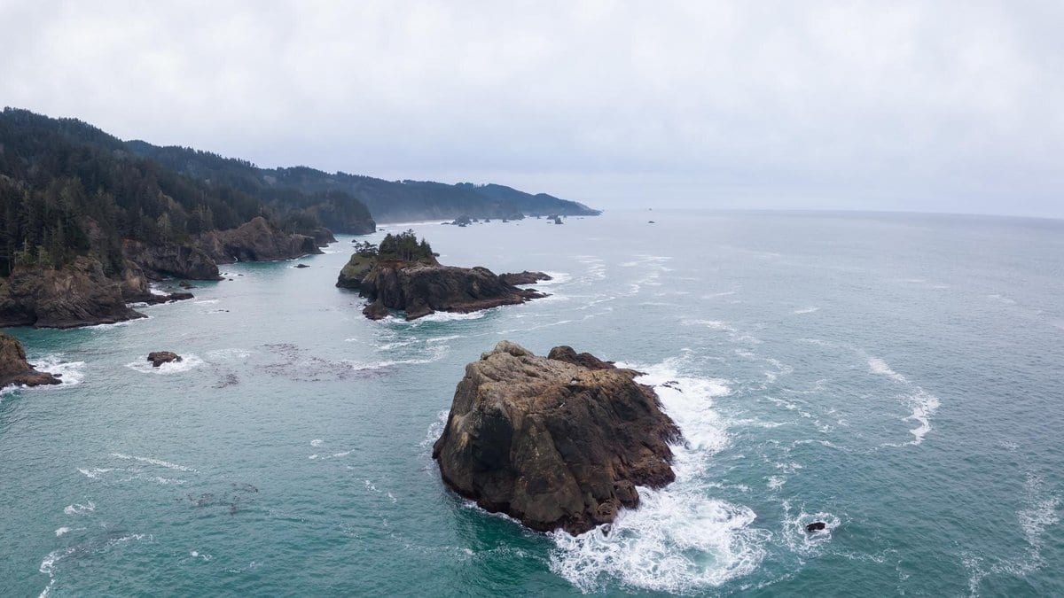 An aerial view of a rocky, forested Pacific coastline with sea stacks offshore and fog over the water.