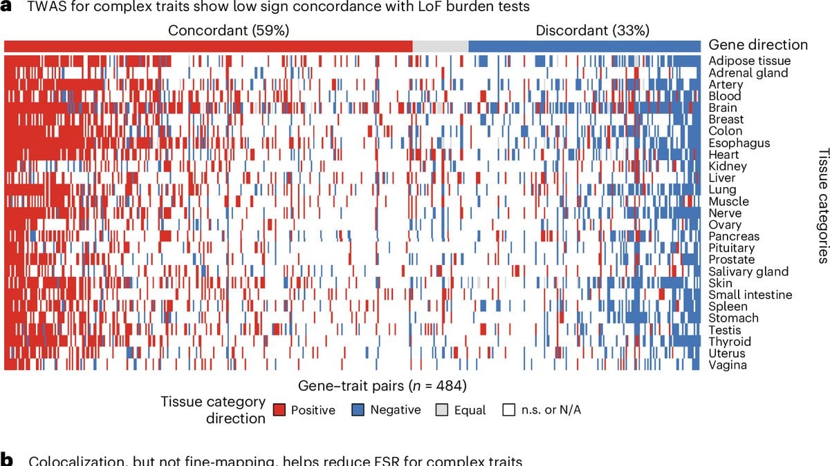 A heat map with 27 tissue-category rows and 484 gene-trait-pair columns, colored red where the predicted direction of a gene's effect is positive and blue where it is negative, with discordant pairs grouped at the right.