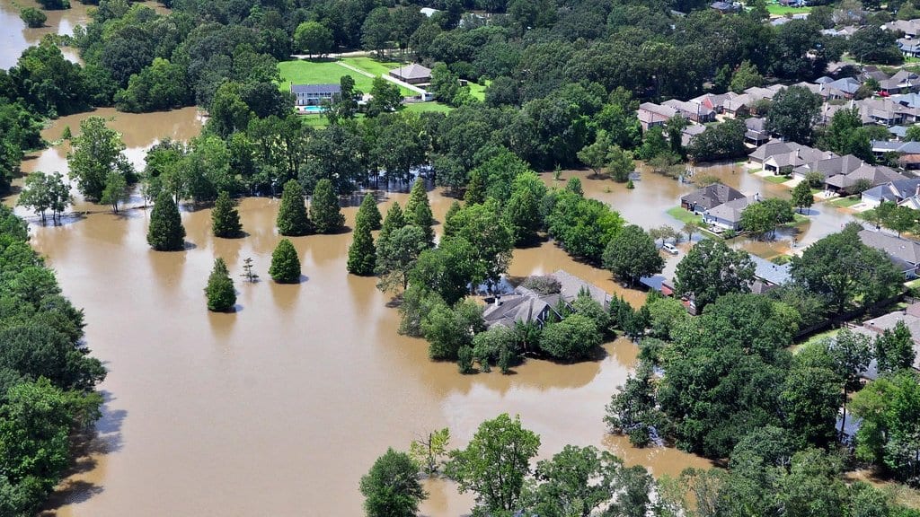 Aerial view of a south Louisiana residential neighborhood with brown floodwater standing in yards, streets and around houses.