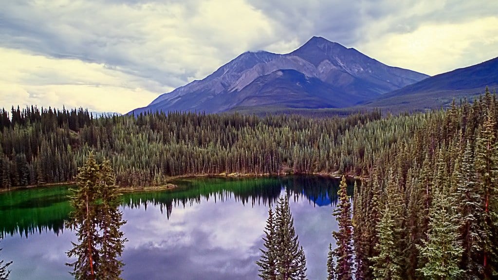 A still lake ringed by spruce forest, with a mountain ridge behind it, in northern Canada.