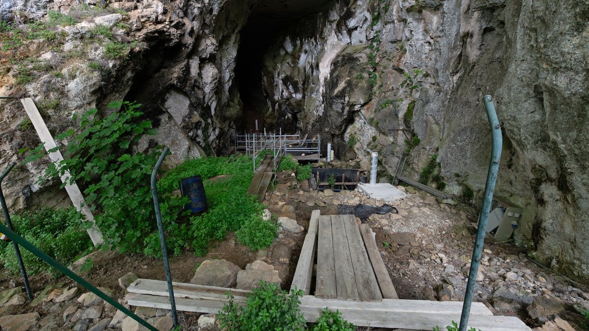 The wide mouth of El Miron Cave in Cantabria, northern Spain, with wooden walkways and excavation scaffolding set up in front of it.