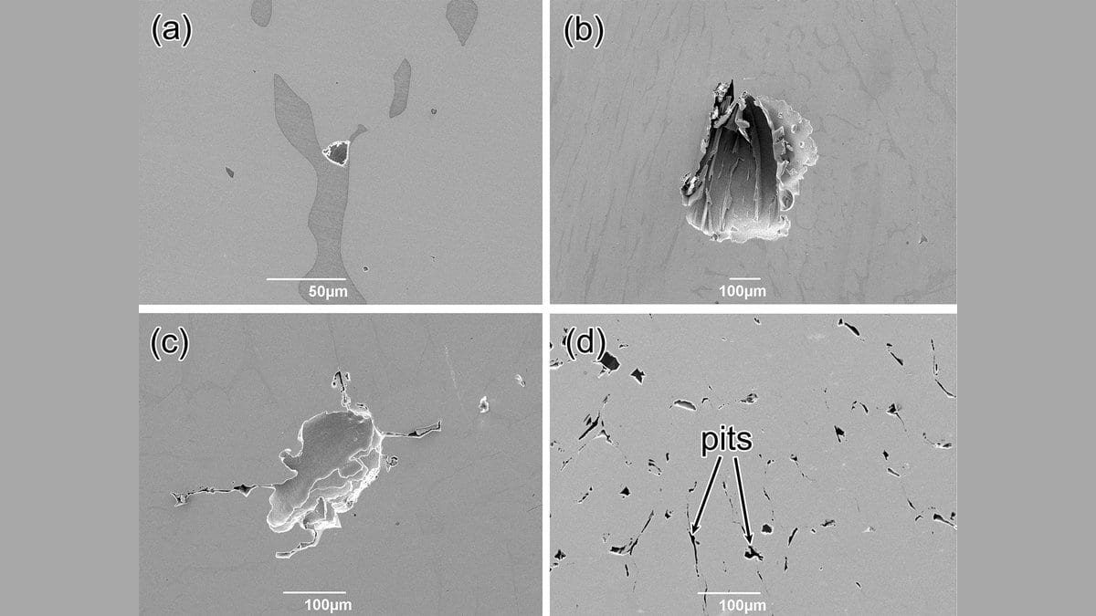 Four scanning electron micrographs of a stainless steel surface, showing inclusions in the metal and the corrosion pits opened beside them, with 50 and 100 micrometer scale bars.