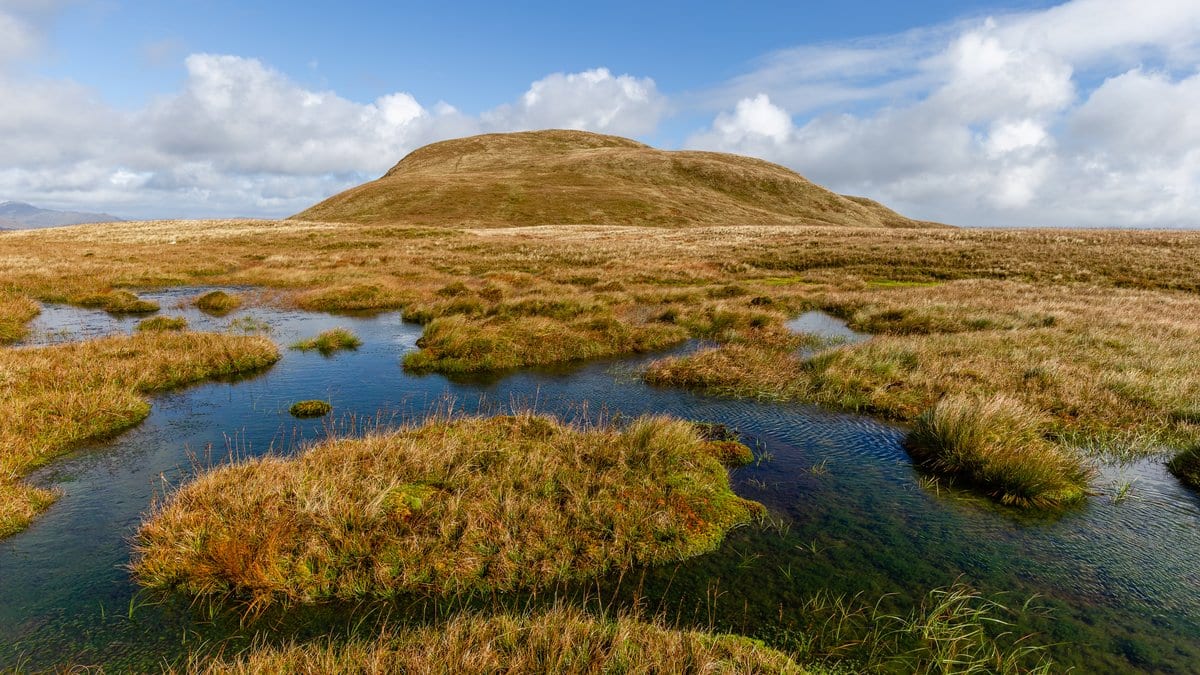 Shallow pools and tussocks of grass on an open upland peat bog, with a rounded hill behind under a blue sky.