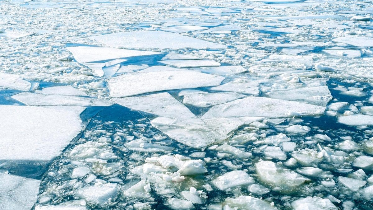 Broken sheets of floating ice with dark open water between them in a polar sea.