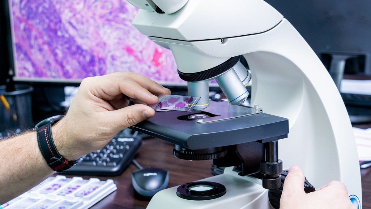 Hands place a stained tissue section on a microscope stage in a laboratory, with a magnified view of the tissue on a screen behind.
