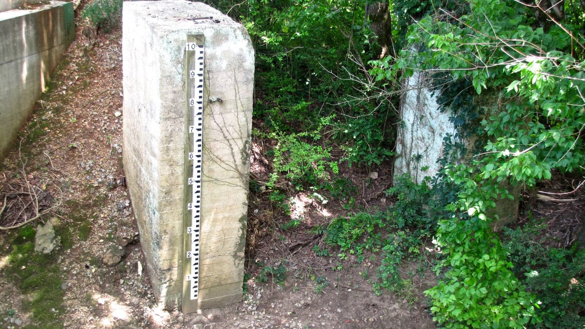 A white graduated strip numbered one to ten fixed to a weathered concrete block on a stony bank, green woodland and an old concrete wall around it