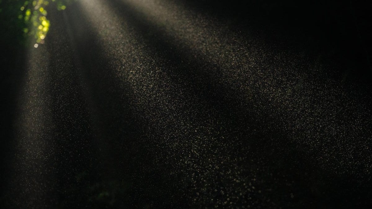 A narrow shaft of sunlight crossing a dark space, revealing countless tiny particles floating in the air.