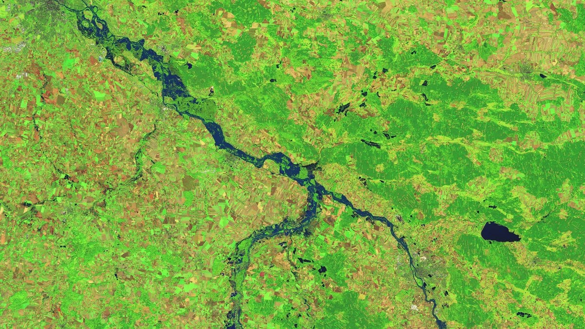 False color satellite view of flooded, dark blue river channels winding through green farmland in southwestern Poland on Sept. 20, 2024.