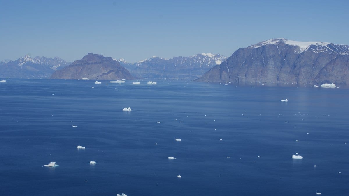 Dark rock cliffs rise from a deep blue fjord dotted with small icebergs, with snow-capped mountains on the horizon.