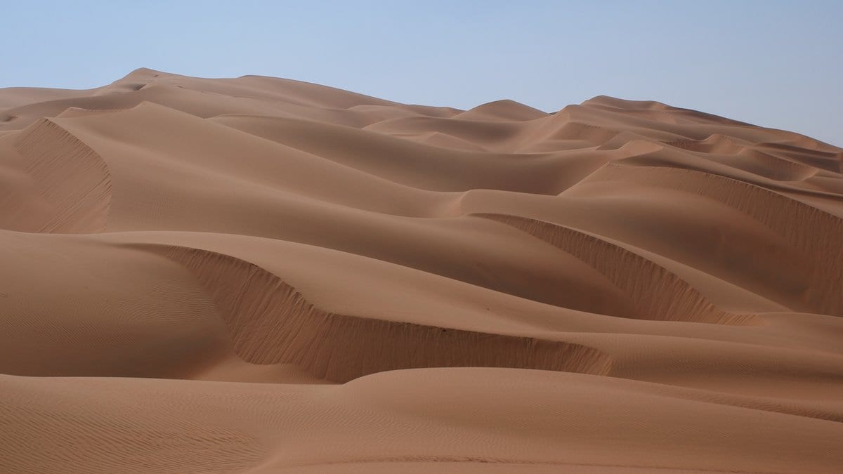 Wind-rippled sand dunes of the Rub al Khali stretching to the horizon under a pale sky.