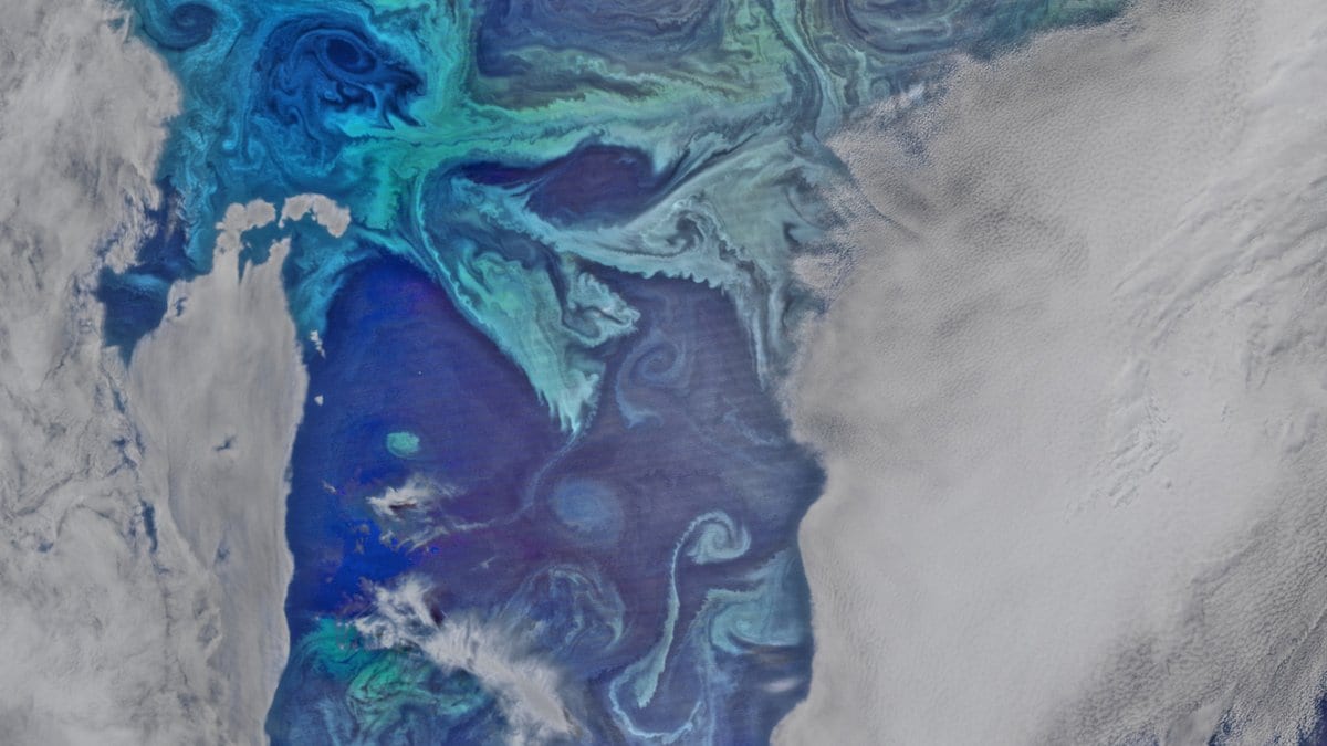 A satellite view of turquoise and deep blue phytoplankton swirls spreading across the surface of the Southern Ocean, with cloud along the right side of the frame.