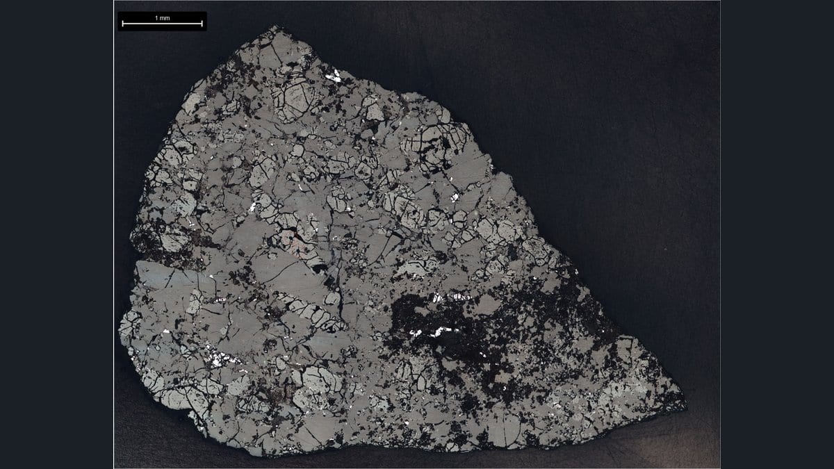 A polished slice of a gray, heavily fractured stony meteorite on a dark background, with a 1 millimeter scale bar at upper left.