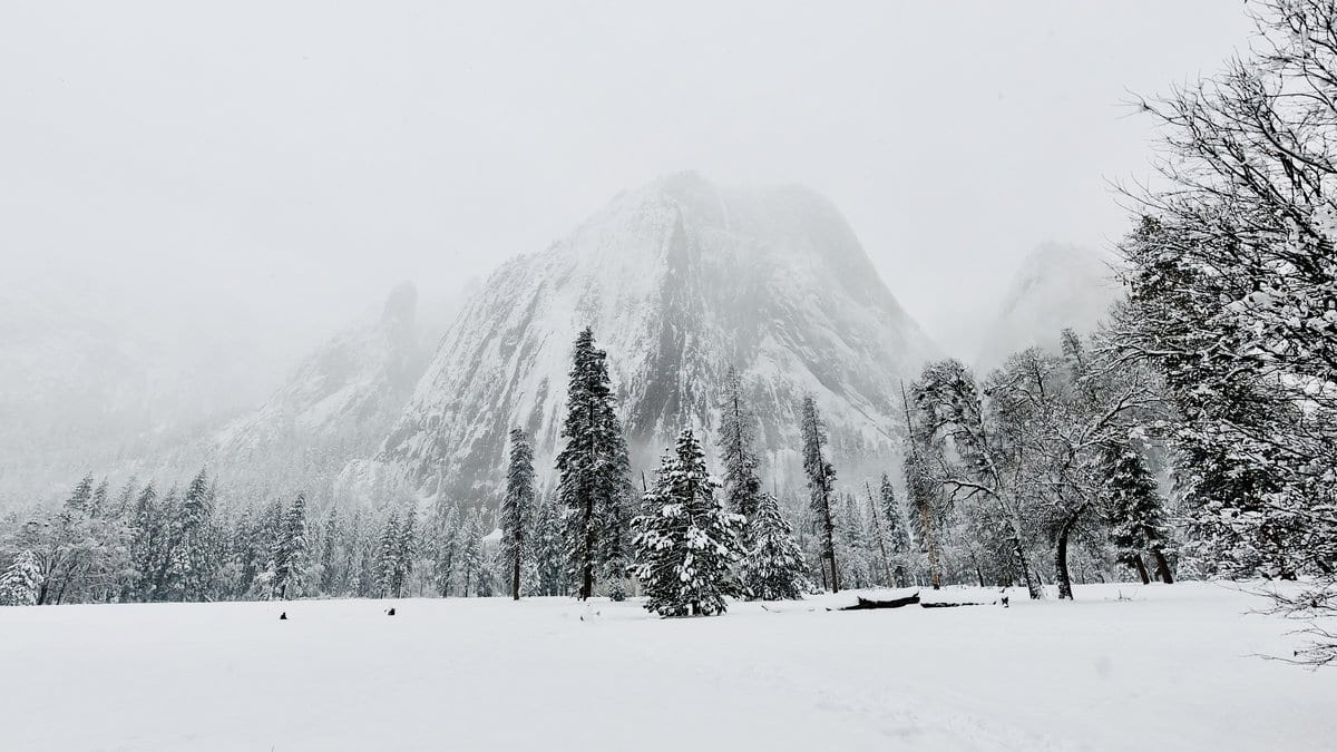 Fresh snow covers a valley floor below a granite peak, with snow-laden conifers under a gray sky.