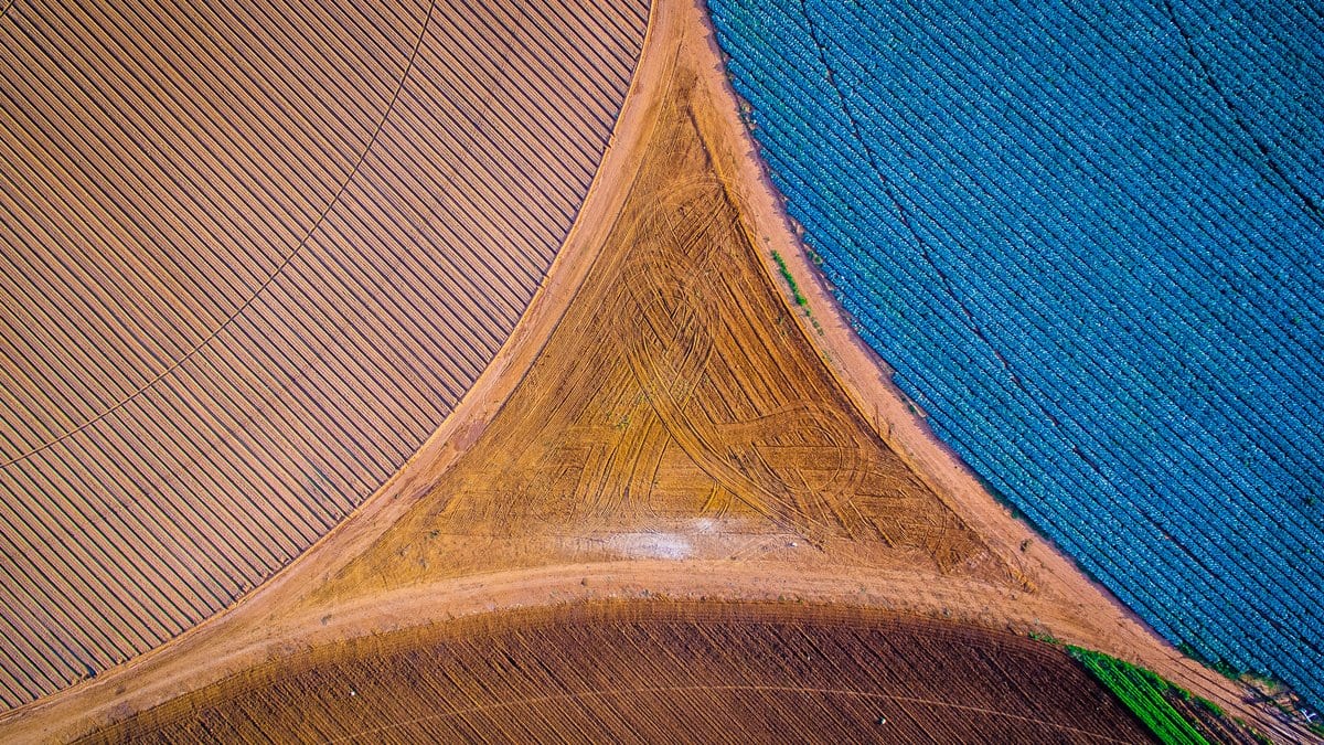 Aerial view looking straight down on farmland where three large circular irrigated fields meet, one plowed brown, one blue green with crops and one pale pink.