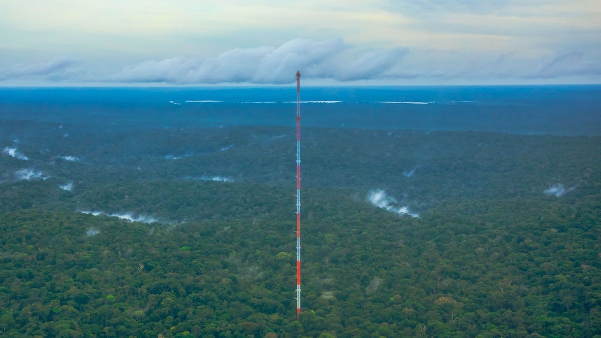 A tall red and white lattice mast rising high above an unbroken green rainforest canopy, with mist and low cloud beyond