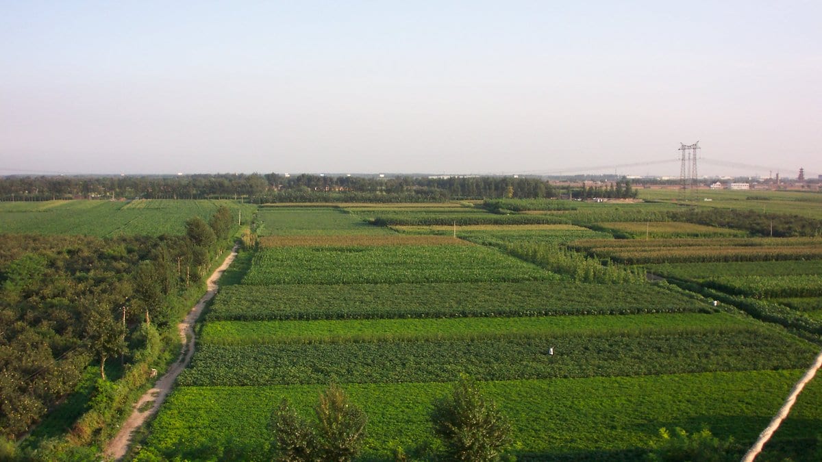Farmland in China divided into small plots, each under a different crop, seen from above on a hazy day