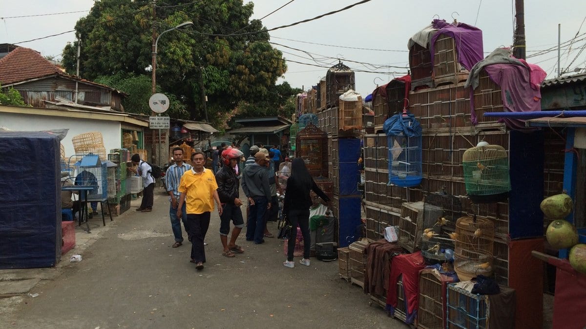 Rows of stacked wooden and wire bird cages line a narrow market street in Jakarta as shoppers walk past.