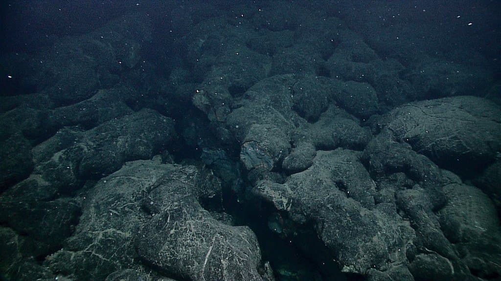 Rounded pillow lava formations and a large fissure on the deep ocean floor