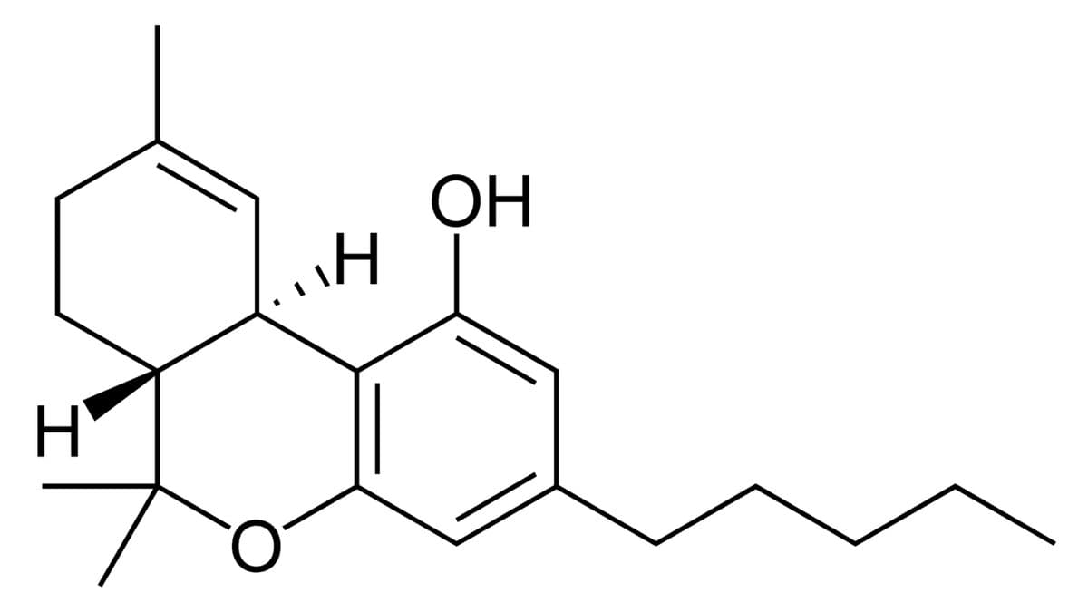 A black-on-white skeletal chemical structure diagram of delta-9-tetrahydrocannabinol, showing its fused rings, hydroxyl group and pentyl side chain.