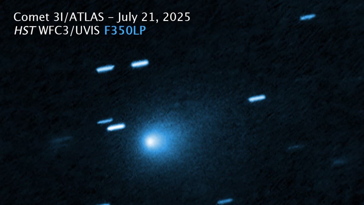 Hubble Space Telescope image of interstellar comet 3I/ATLAS: a bright condensed coma against a field of background stars trailed into short streaks, with the frame's own title