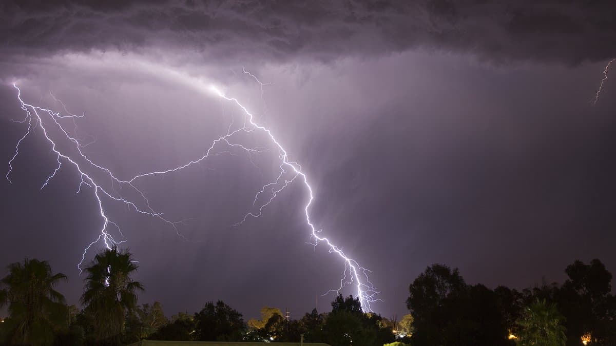 Several branching cloud-to-ground lightning bolts strike a dark treeline beneath a heavy storm cloud at night.