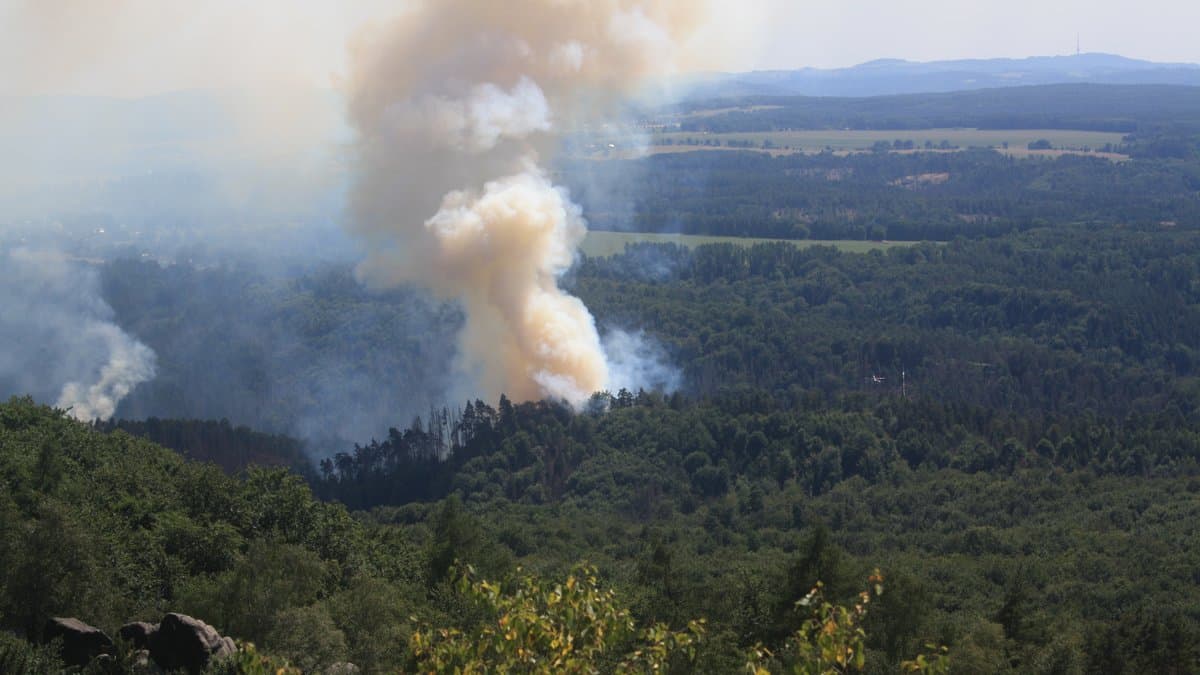 A tall pale smoke column rises from burning forest in a broad wooded valley on the Czech-German border, seen from a rocky sandstone viewpoint.