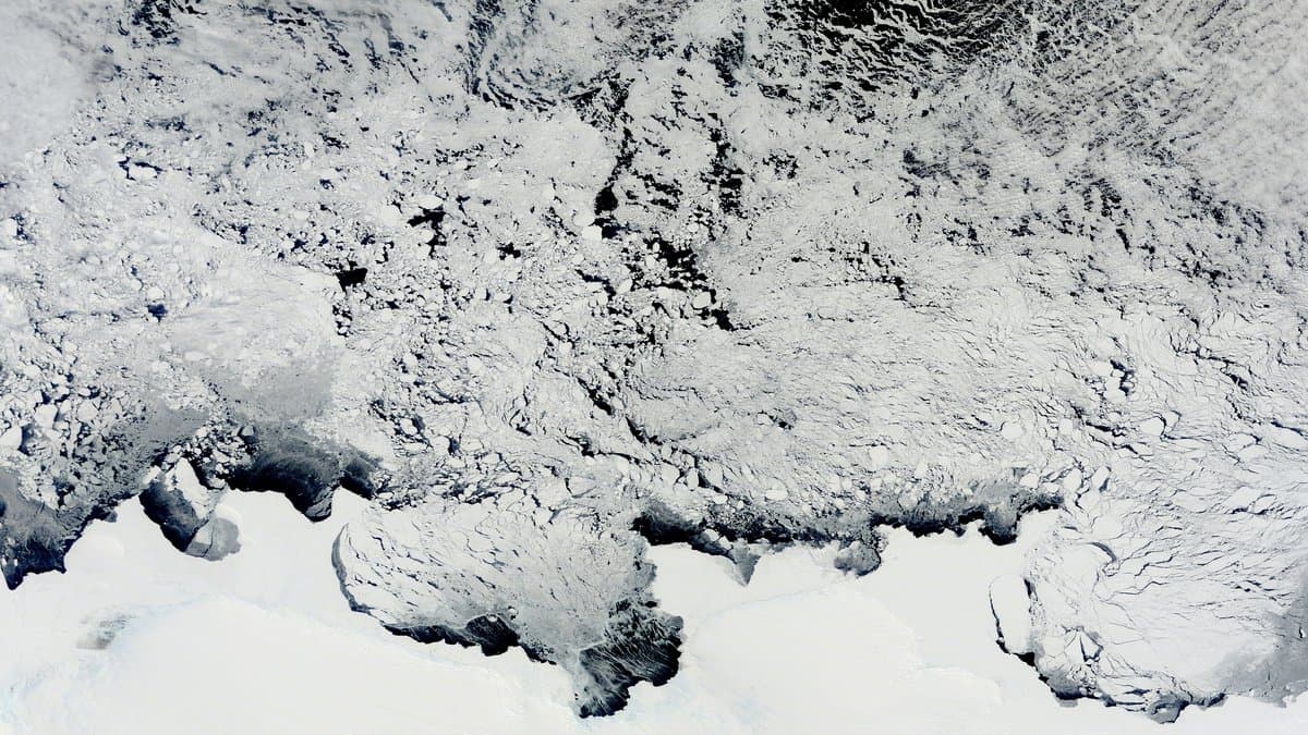 Satellite view of the East Antarctic coast, with the white ice sheet across the bottom and a broken belt of sea ice and icebergs drifting on dark ocean water above it.