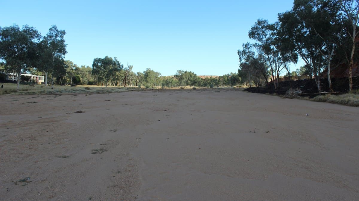 A wide, dry sandy riverbed lined with gum trees under a clear blue sky in central Australia.