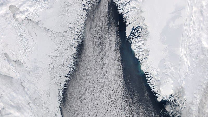 Satellite view of parallel rows of low cloud over dark open water flanked by white sea ice.